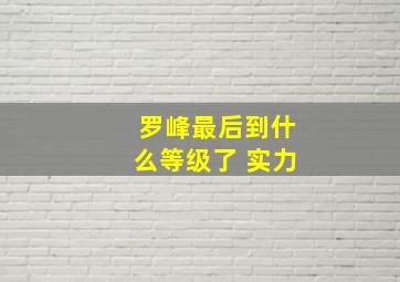 罗峰最后到什么等级了 实力